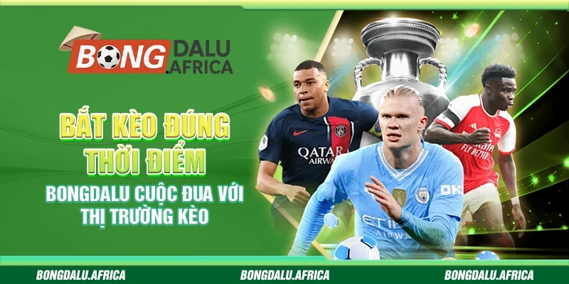 Bắt Kèo Đúng Thời Điểm Bongdalu - Cuộc Đua Với Thị Trường