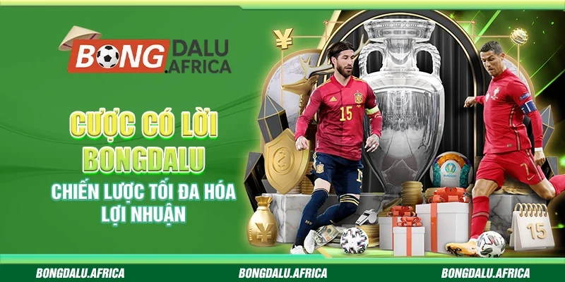 Cược Có Lời Bongdalu - Chiến Lược Tối Đa Hóa Lợi Nhuận