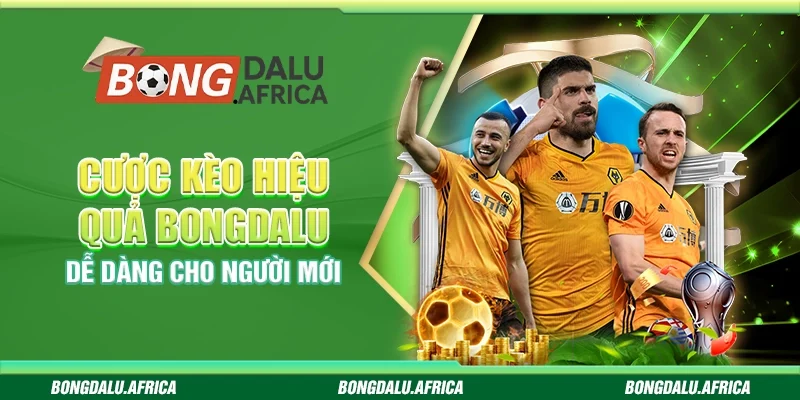 Cược Kèo Hiệu Quả Bongdalu - Dễ Dàng Cho Người Mới
