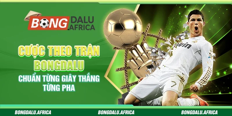 Cược Theo Trận Bongdalu - Chuẩn Từng Giây Thắng Từng Pha