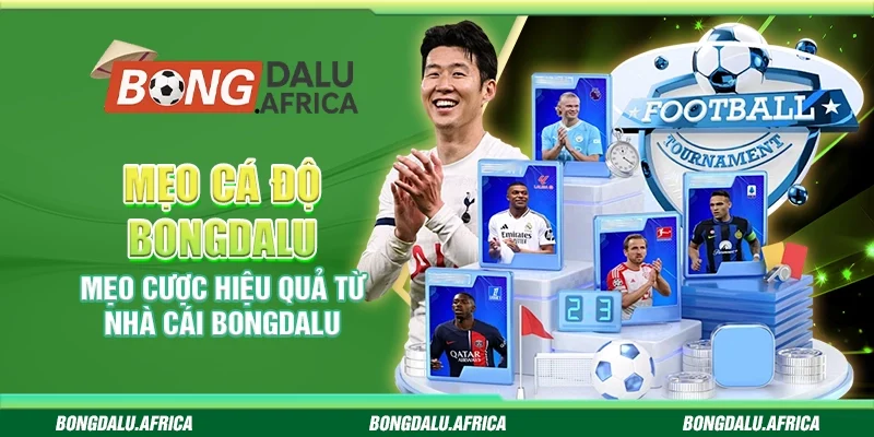 Mẹo Cá Độ Bongdalu - Mẹo Cược Hiệu Quả Từ Nhà Cái