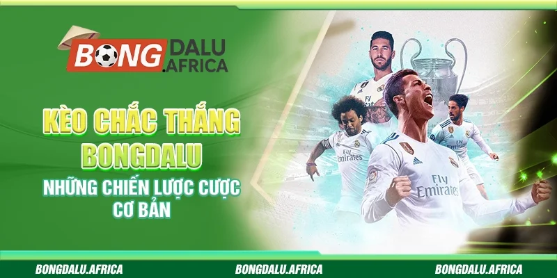 Kèo Chắc Thắng Bongdalu - Những Chiến Lược Cược Cơ Bản