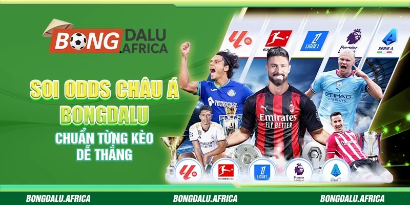 Soi Odds Châu Á Bongdalu - Chuẩn Từng Kèo Dễ Thắng