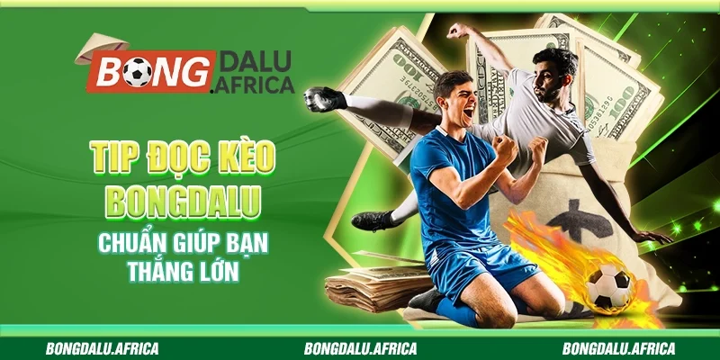 Tip Đọc Kèo Bongdalu - Chuẩn Giúp Bạn Thắng Lớn