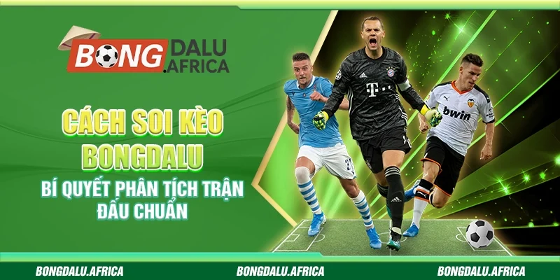 Cách Soi Kèo Bongdalu – Bí Quyết Phân Tích Trận Đấu Chuẩn