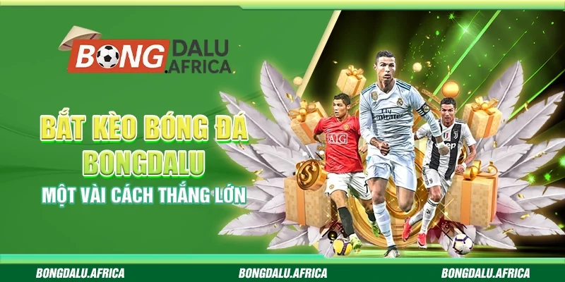 Bắt Kèo Bóng Đá Bongdalu - Một Vài Cách Thắng Lớn