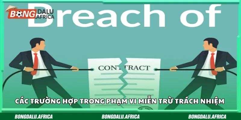 Các trường hợp trong phạm vi miễn trừ trách nhiệm Bongdalu