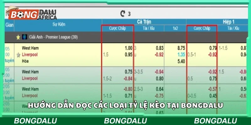 Cách đọc các loại tỷ lệ kèo tại Bongdalu