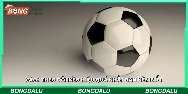 Cách theo dõi kèo hiệu quả nhất bạn nên biết