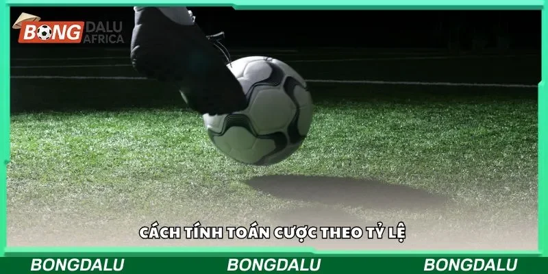 Cách tính toán cược theo tỷ lệ 