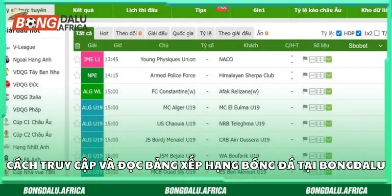 Cách truy cập và đọc bảng xếp hạng bóng đá tại Bongdalu