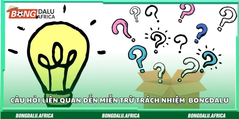 Các câu hỏi liên quan đến miễn trừ trách nhiệm tại Bongdalu