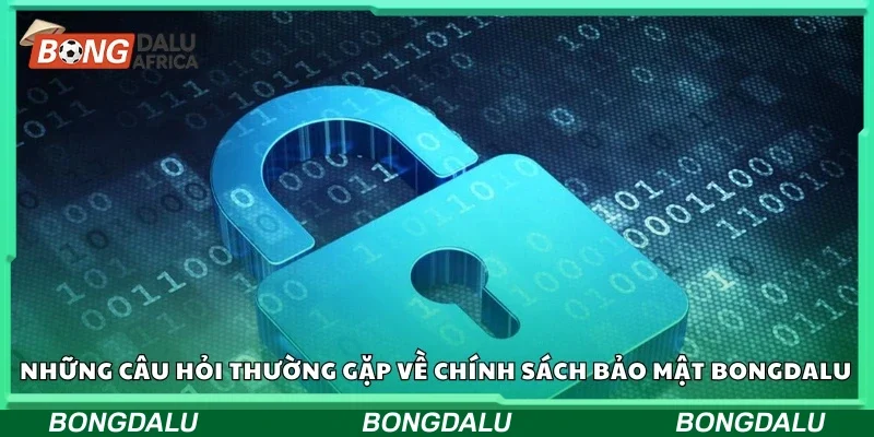 Câu hỏi thường gặp về chính sách bảo mật Bongdalu 
