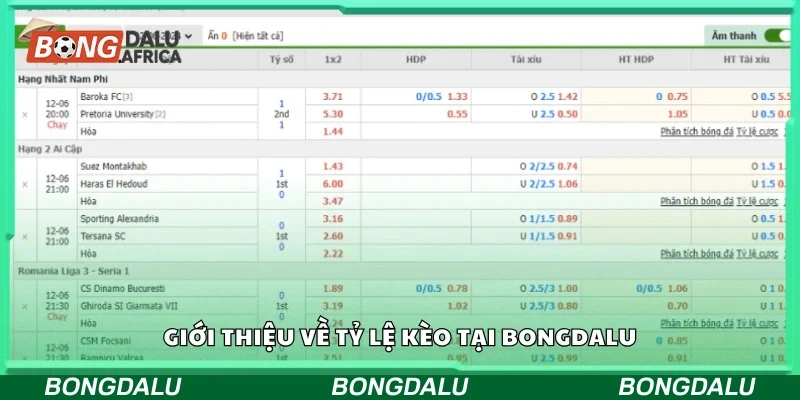 Đôi nét về tỷ lệ kèo tại Bongdalu