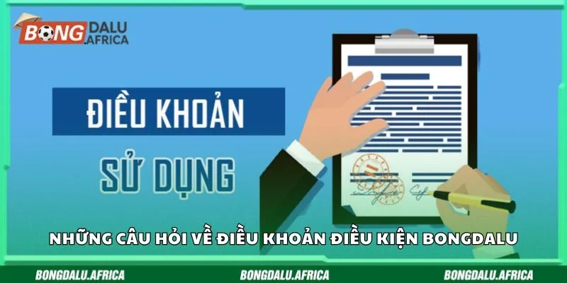 Những câu hỏi về điều khoản điều kiện Bongdalu