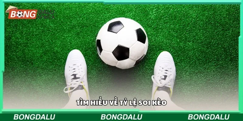 Tìm hiểu về tỷ lệ soi kèo