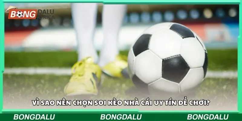 Vì sao nên chọn soi kèo nhà cái uy tín để chơi?