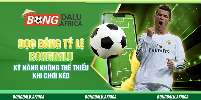 Đọc bảng tỷ lệ Bongdalu - Kỹ năng quan trọng khi chơi kèo