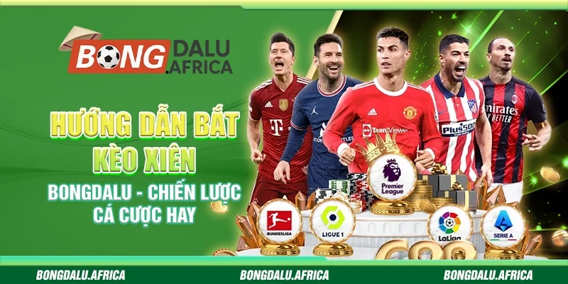 Hướng Dẫn Bắt Kèo Xiên Bongdalu - Chiến Lược Cá Cược Hay