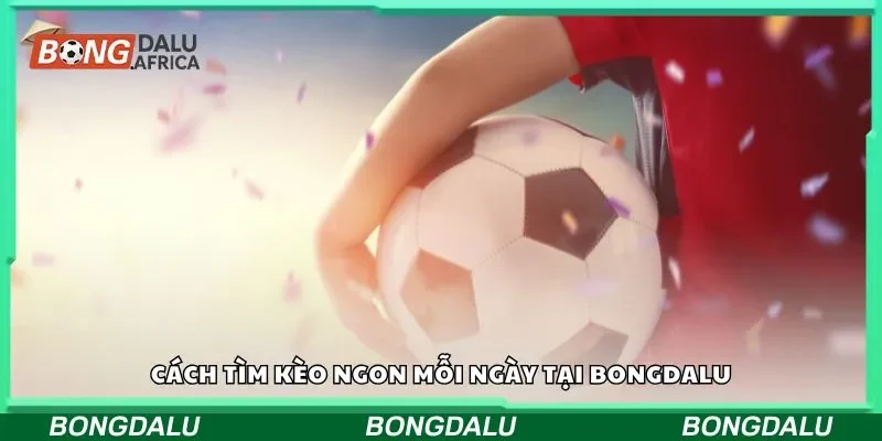 Cách tìm kèo ngon mỗi ngày tại Bongdalu