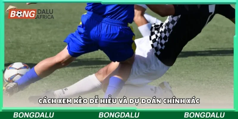 Cách xem kèo dễ hiểu và dự đoán chính xác