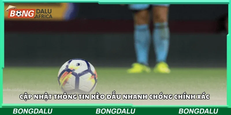 Cập nhật thông tin kèo đấu nhanh chóng chính xác