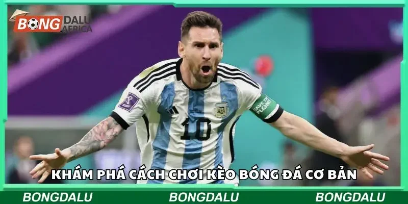 Các loại bảng tỷ lệ phổ biến