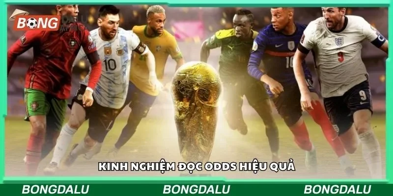 Kinh nghiệm đọc odds hiệu quả