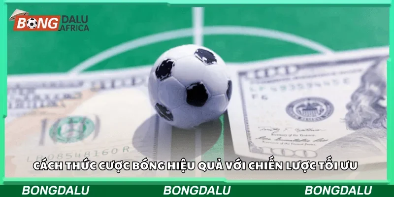 Cách thức cược bóng hiệu quả với chiến lược tối ưu