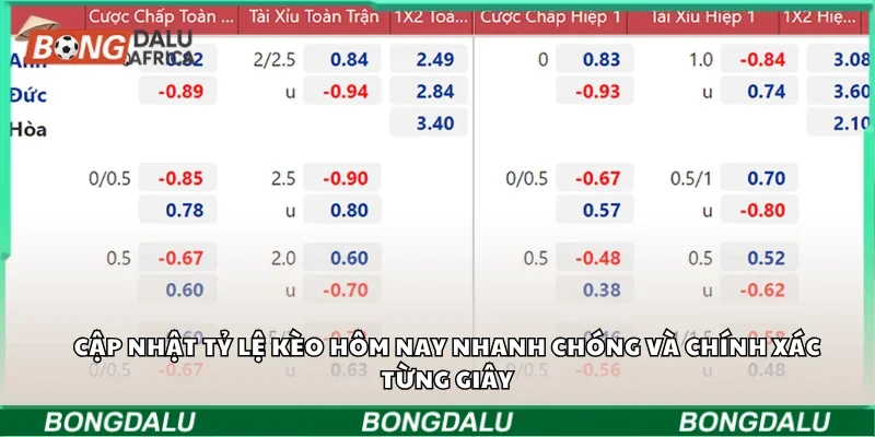 Cập nhật tỷ lệ kèo hôm nay nhanh chóng và chính xác từng giây
