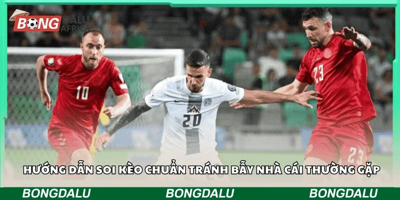 Hướng dẫn soi kèo chuẩn tránh bẫy nhà cái thường gặp