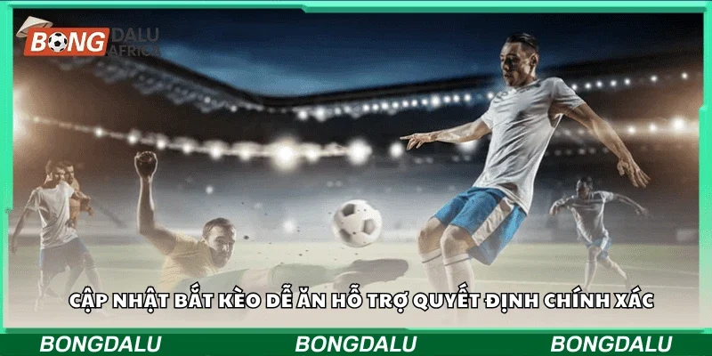 Cập nhật bắt kèo dễ ăn hỗ trợ quyết định chính xác