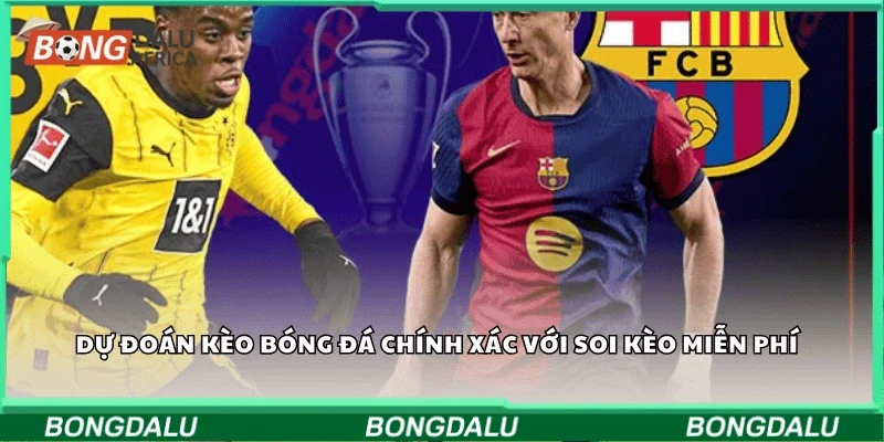 Dự đoán kèo bóng đá chính xác với soi kèo miễn phí 