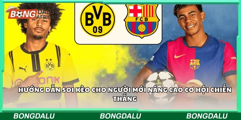 Hướng dẫn soi kèo cho người mới nâng cao cơ hội chiến thắng