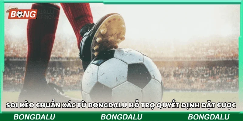 Soi kèo chuẩn xác từ Bongdalu hỗ trợ quyết định đặt cược